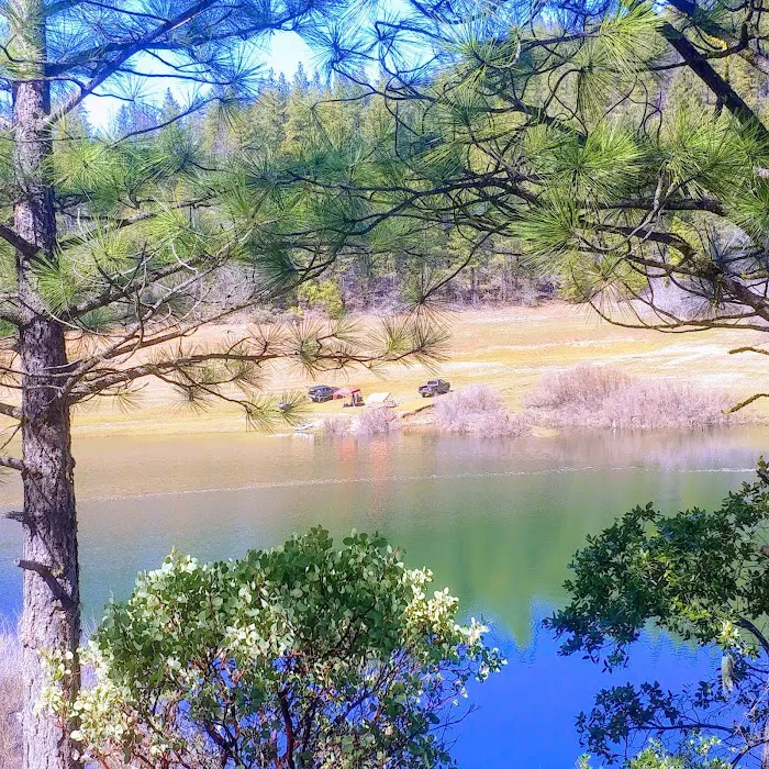 Harr Point Campground Picture 8