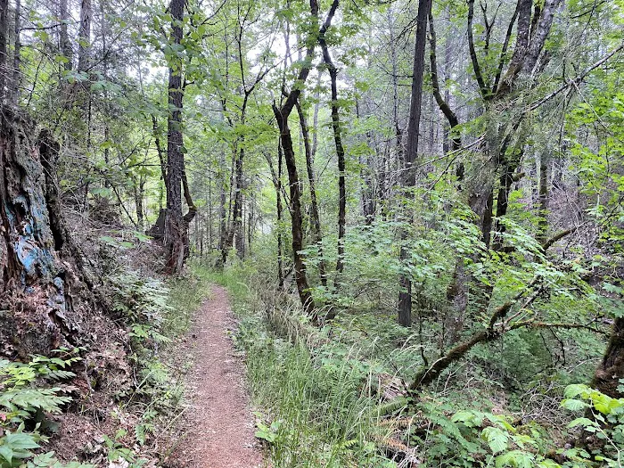 Harr Point Campground Picture 2