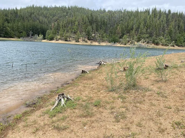 Harr Point Campground Picture 1