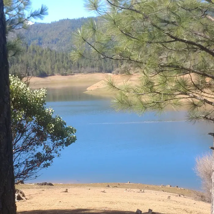 Harr Point Campground Picture 5