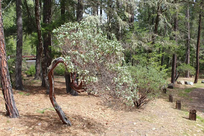 Watkins Campground Picture 5
