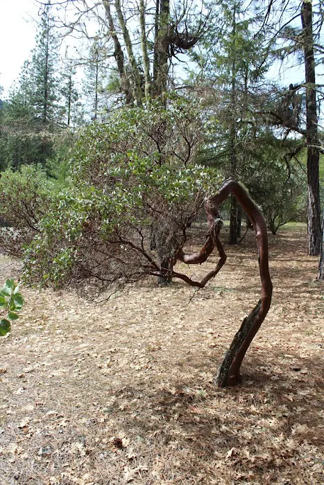 Watkins Campground Picture 2