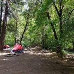 Carberry Creek Campground