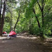 Carberry Creek Campground ico