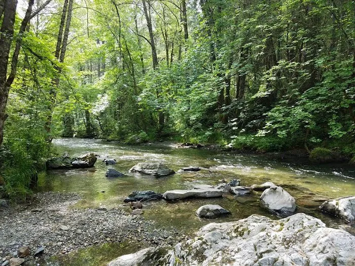 Carberry Creek Campground Picture 6