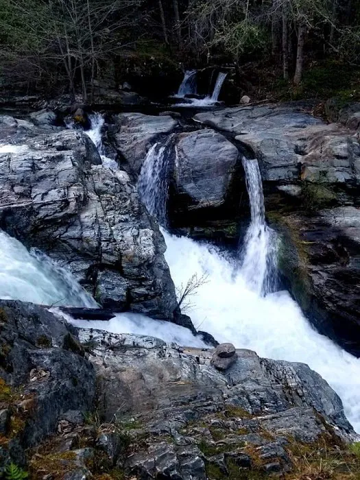 Carberry Creek Campground Picture 3