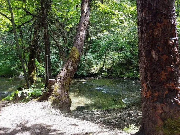 Carberry Creek Campground Picture 9