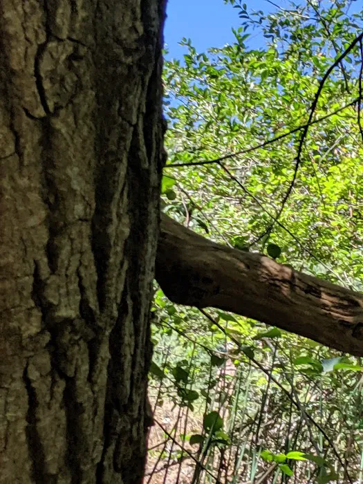 Carberry Creek Campground Picture 8