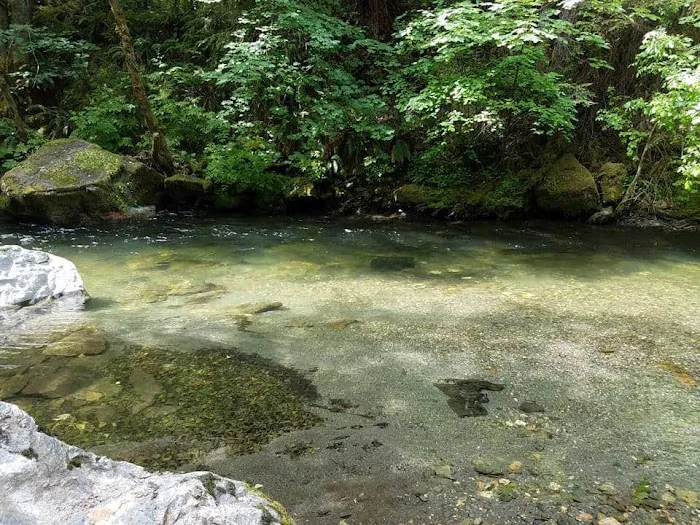 Carberry Creek Campground Picture 2