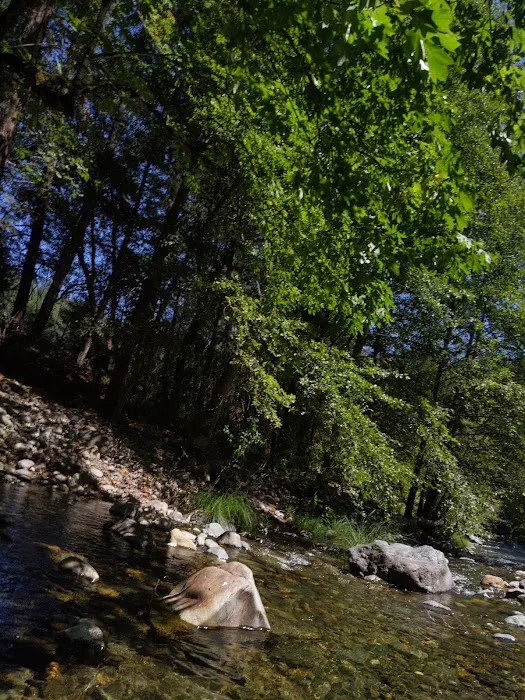 Carberry Creek Campground Picture 5