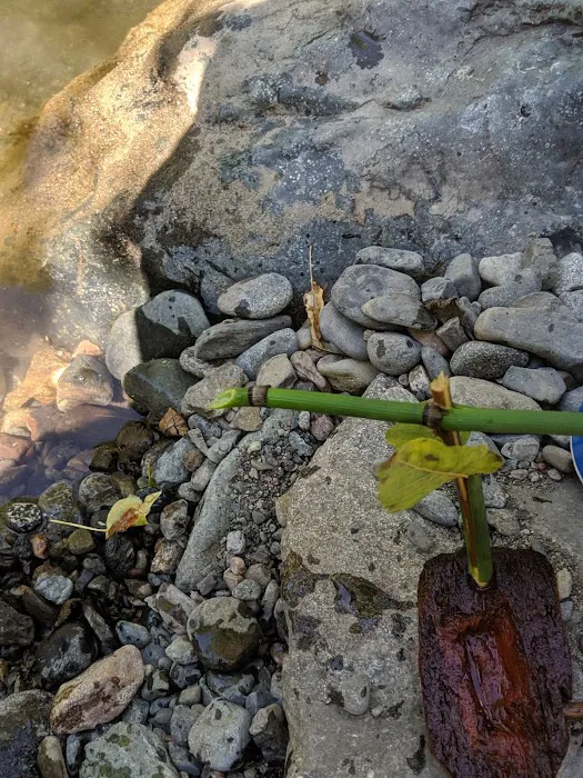 Carberry Creek Campground Picture 10