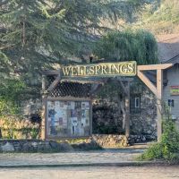 Jackson Wellsprings ico