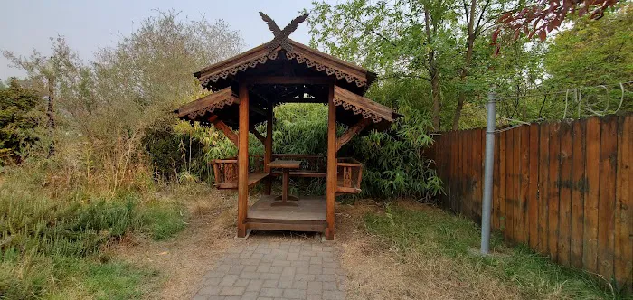 Jackson Wellsprings Picture 8