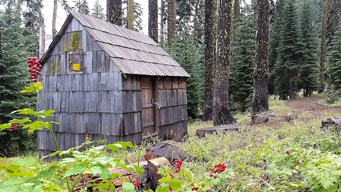 Wrangle Campground Picture 8