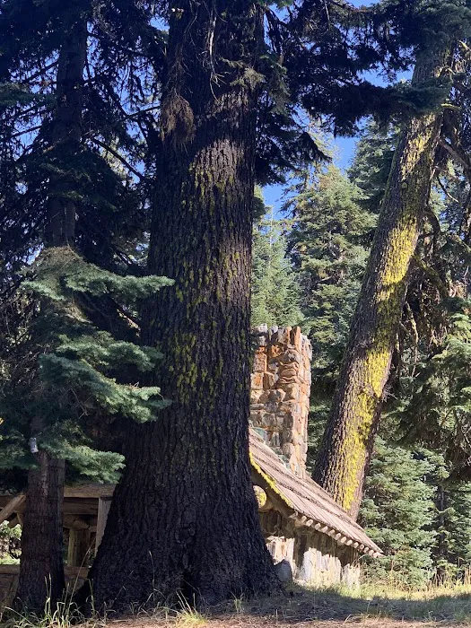 Wrangle Campground Picture 2