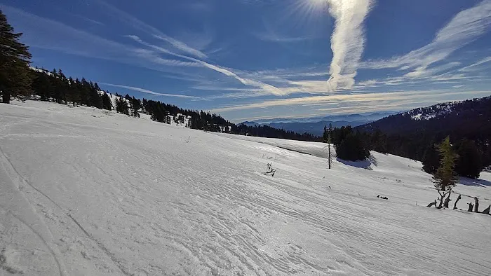 Grouse Gap Shelter Picture 2