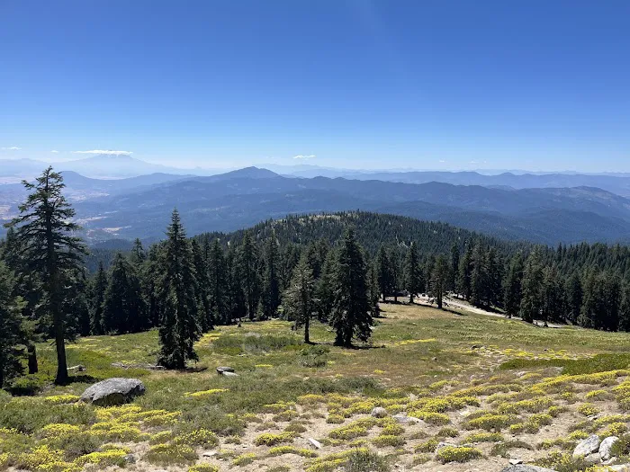 Mt. Ashland Campground Picture 8