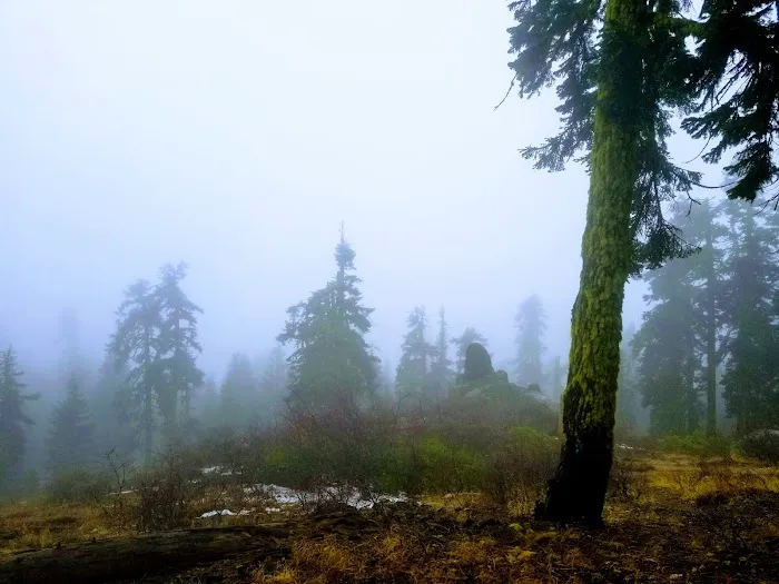 Mt. Ashland Campground Picture 10