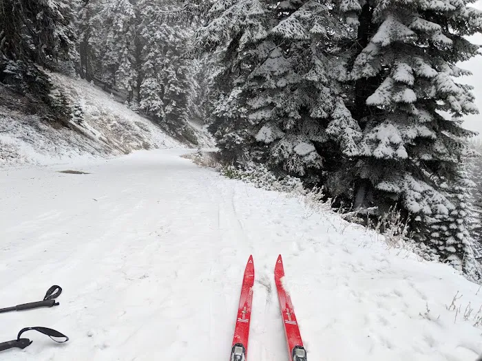 Mt. Ashland Campground Picture 9