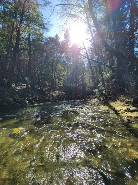 Hutton Campground Picture 6