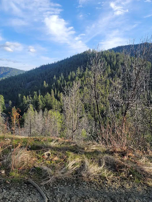 Hutton Campground Picture 1
