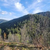 Hutton Campground ico