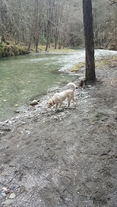 Hutton Campground Picture 10