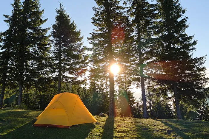 Cave Junction KOA Journey Picture 7