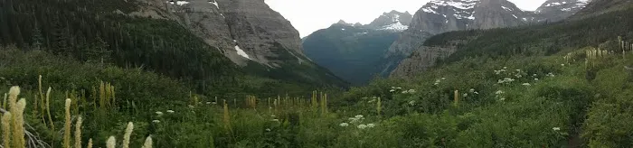 Brown Pass Campground Picture 1