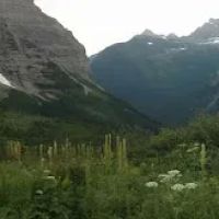 Brown Pass Campground ico