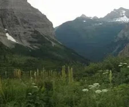 Brown Pass Campground