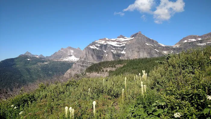 Brown Pass Campground Picture 2