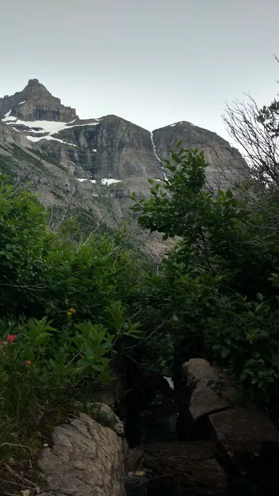 Brown Pass Campground Picture 5