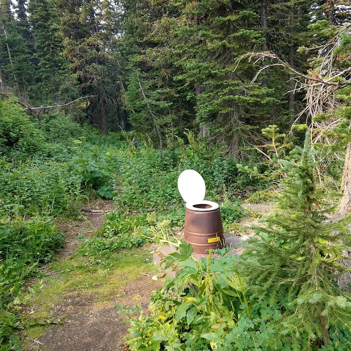 Brown Pass Campground Picture 10