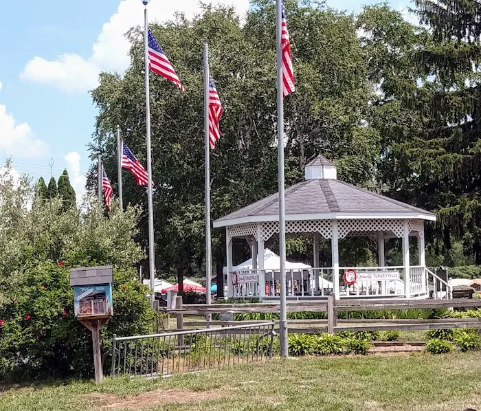 Camp Turkeyville RV Resort Picture 8