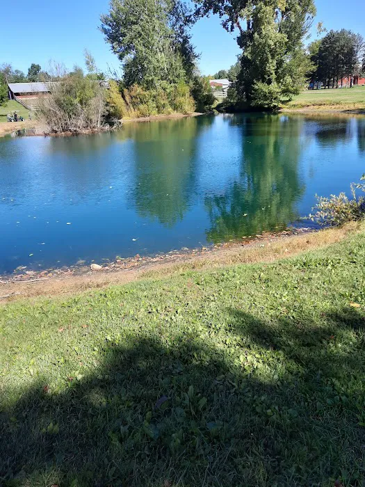 Camp Turkeyville RV Resort Picture 7