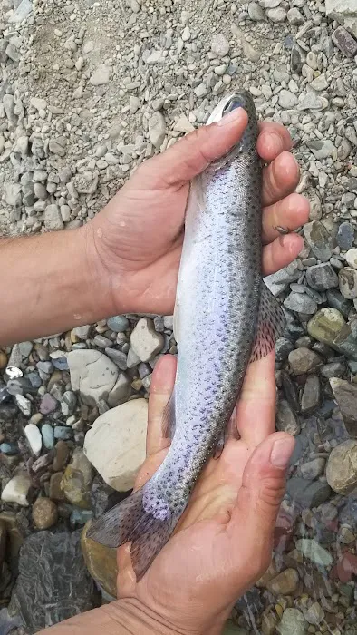 Lake Frances Campground Picture 5