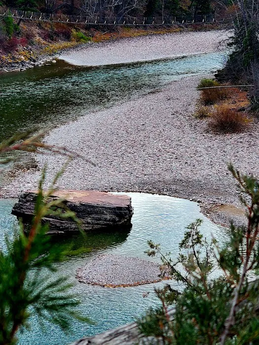 Spotted Bear Campground Picture 1