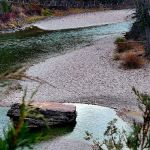 Spotted Bear Campground