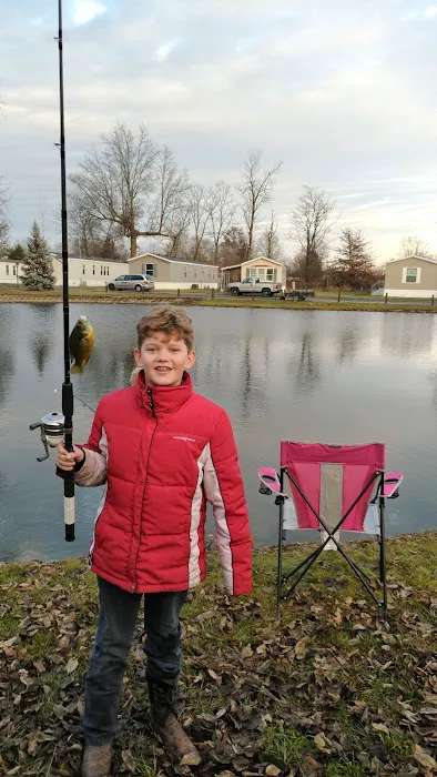 Ulm's Manufactured Homes Picture 5