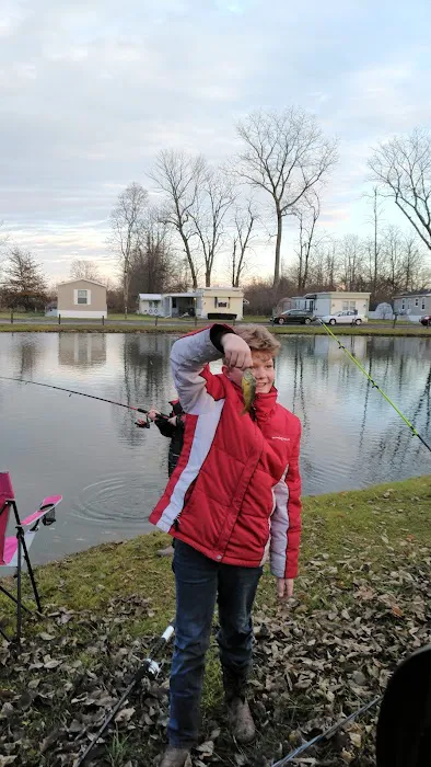 Ulm's Manufactured Homes Picture 10