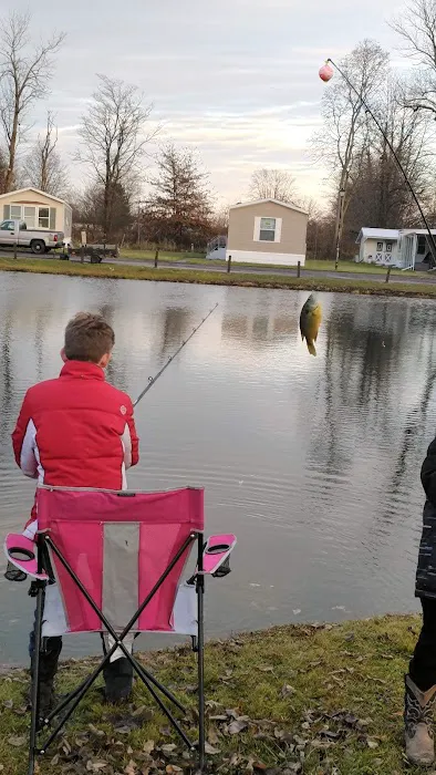 Ulm's Manufactured Homes Picture 8