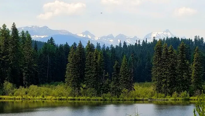 Peters Creek Campground Picture 2