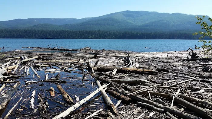 Peters Creek Campground Picture 3