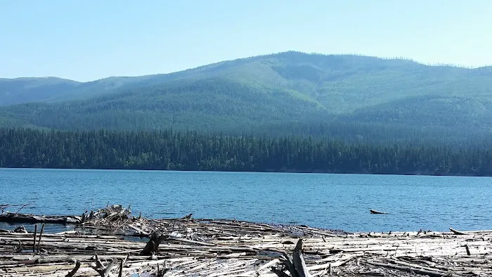 Peters Creek Campground Picture 1