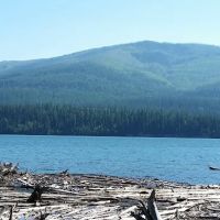 Peters Creek Campground ico