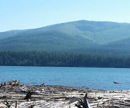 Peters Creek Campground