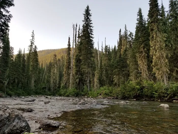 Peters Creek Campground Picture 10