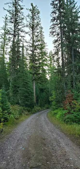 Devils Corkscrew Campground Picture 3