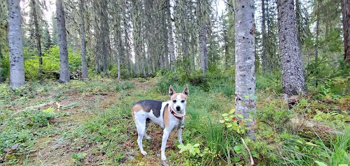 Devils Corkscrew Campground Picture 4